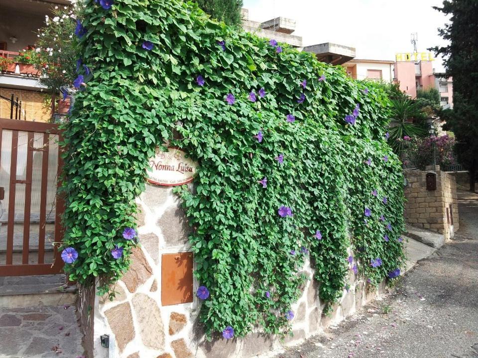 B&B Nonna Luisa Tarquinia Exteriér fotografie